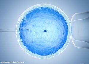 关于供卵试管代生